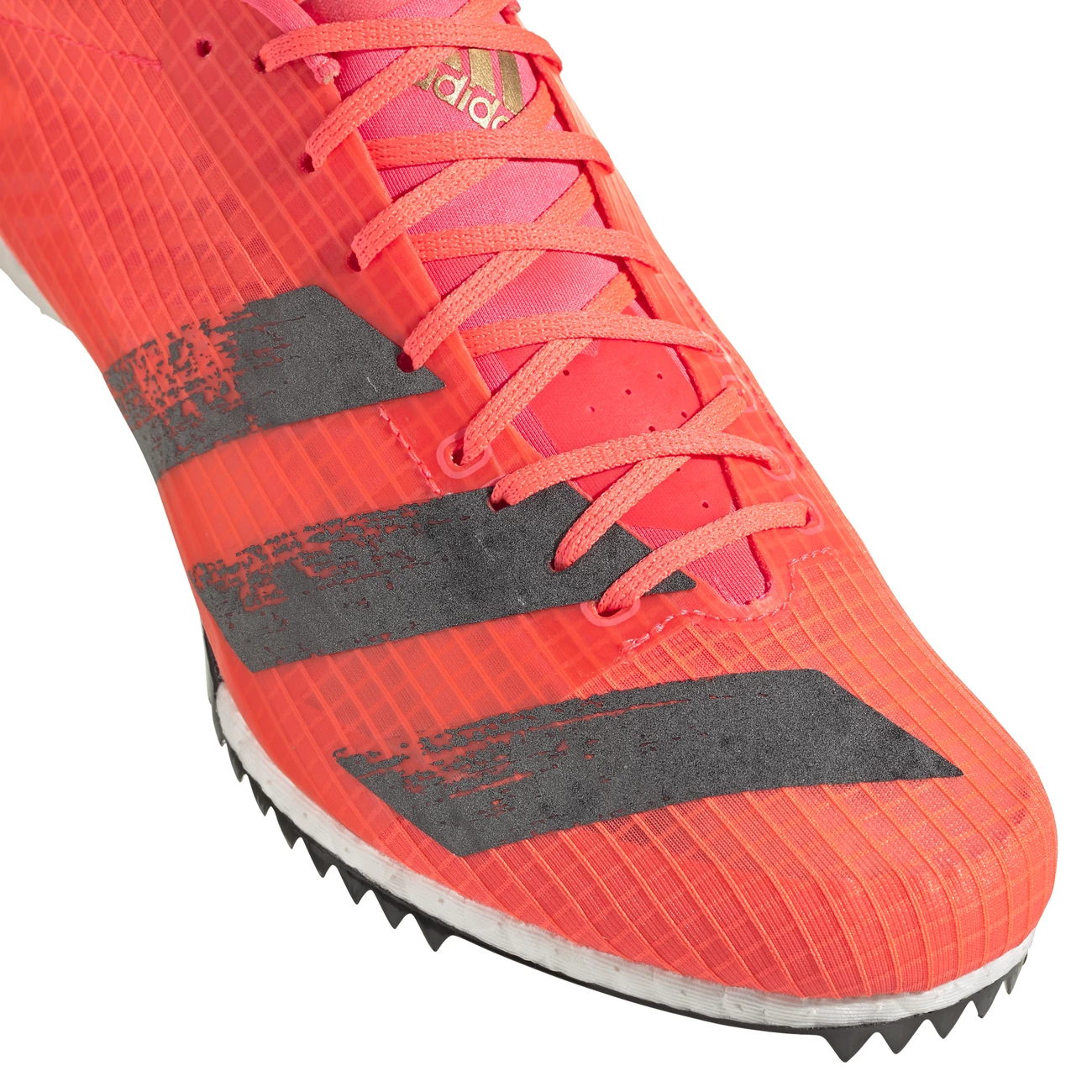 Coupon ✨ Course A Pied Adulte Adidas Chaussures De Running Adidas Adizero Middle Distance Spikes ROSE ✔️ 3 Coupon ✨ Course A Pied Adulte Adidas Chaussures De Running Adidas Adizero Middle Distance Spikes ROSE ✔️